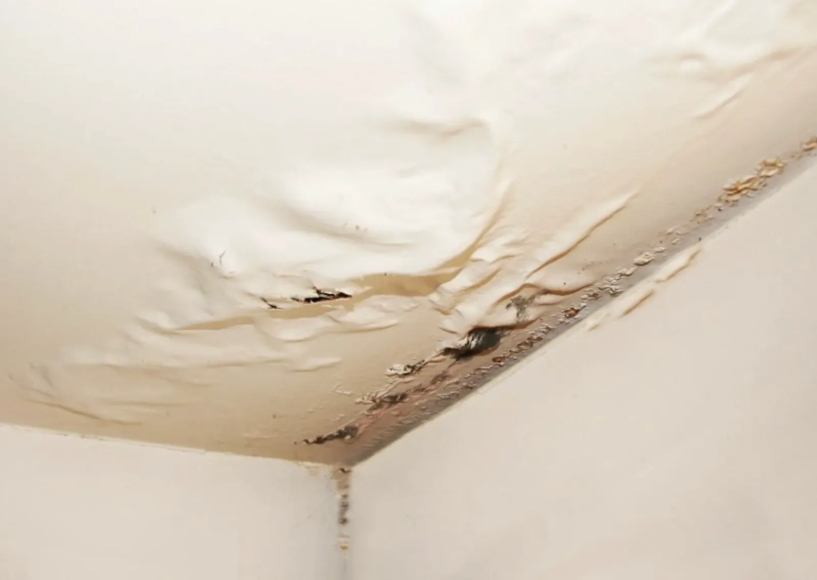 Paint bubbling and peeling from a water-damaged ceiling with dark mold along the wall corner